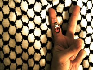 Styrktartónleikar fyrir Gaza